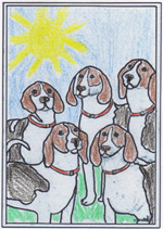 Hounds